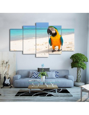 Tableau Ara sur le sable pas cher 