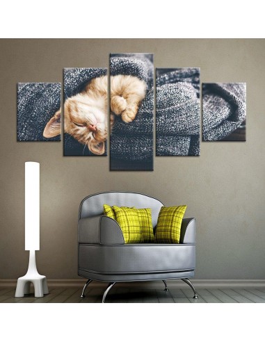 Tableau Chaton dormant commande en ligne