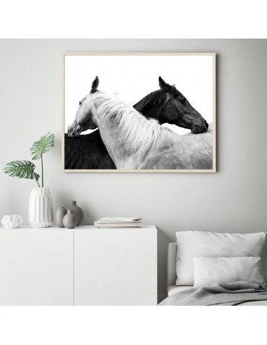 Tableau cheval noir et blanc en stock