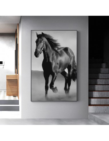 Tableau cheval noir basket pas cher