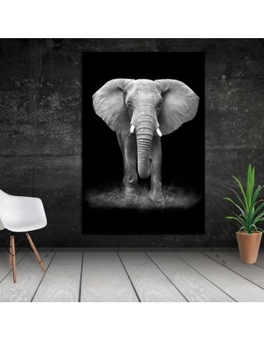 Tableau elephant noir et blanc de votre