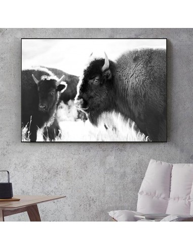 Tableau bison noir et blanc s'inspire de l'anatomie humaine