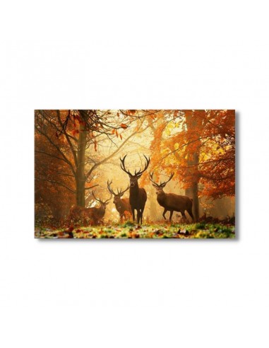 Tableau Cerf Automne sur le site 